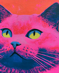 Neon Pink Cat Print