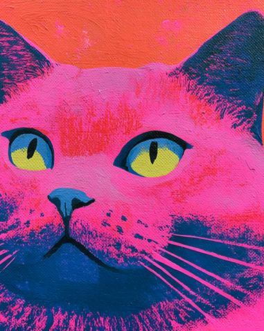 Neon Pink Cat Print