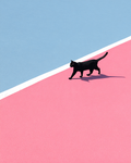 Black Cat Graphical Print