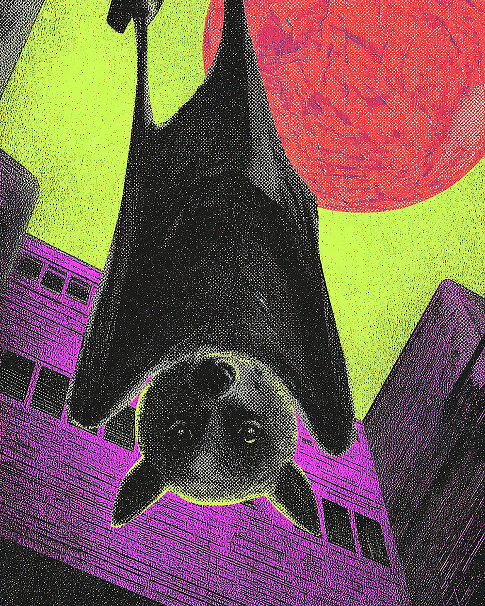 Disco Bat Print