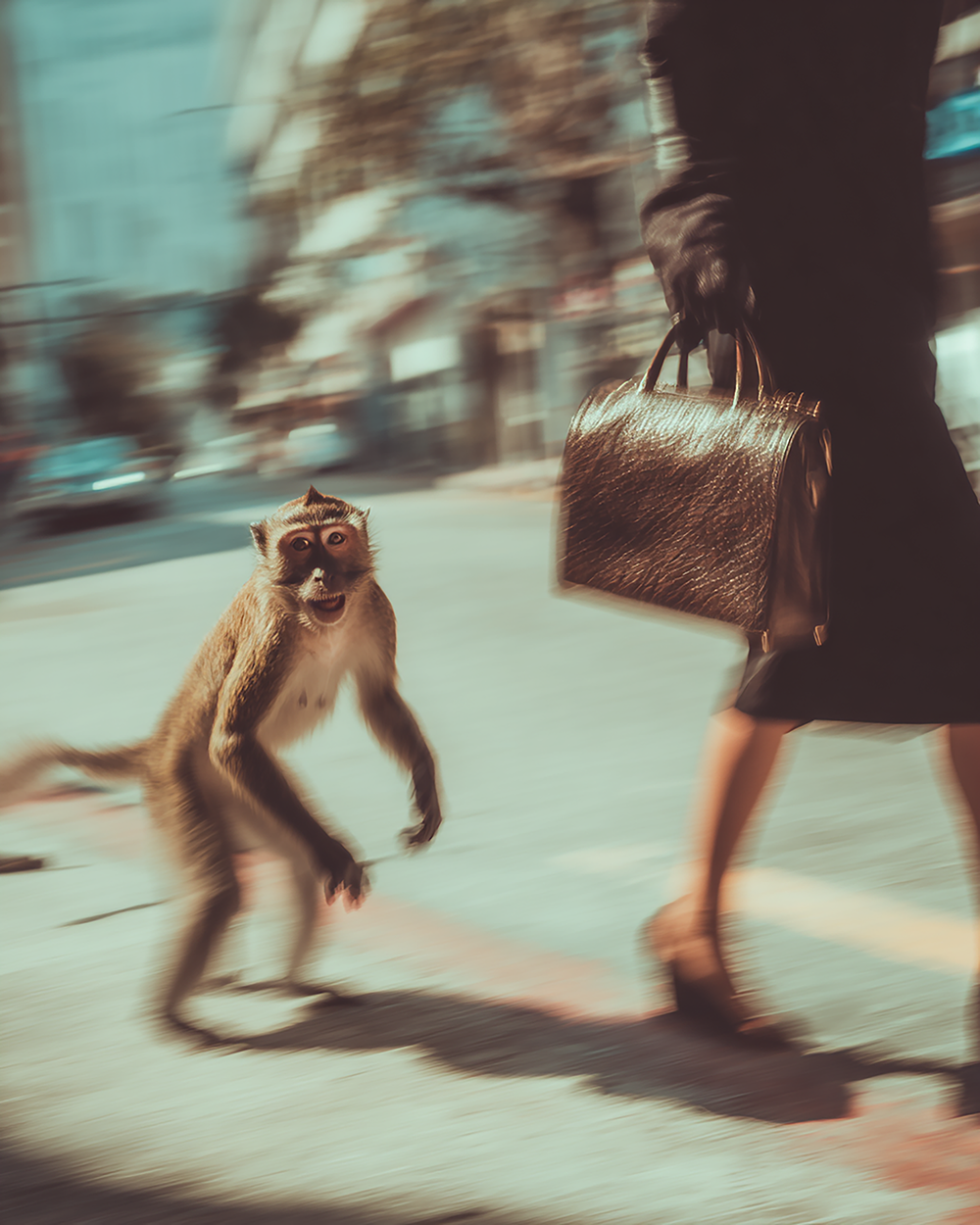 DON'T MOVE, SILLY MONKEY! PRINT