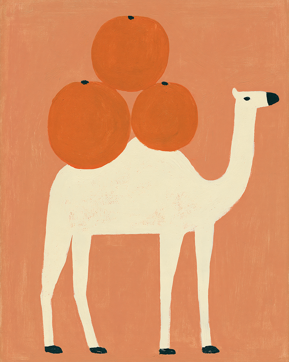Fruity Camel Print