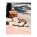 Monkey Business Photo Print